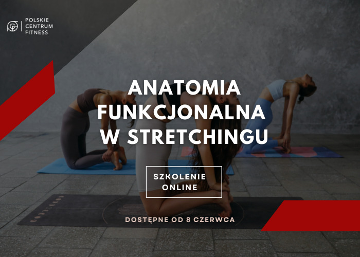 Anatomia Funkcjonalna w stretchingu